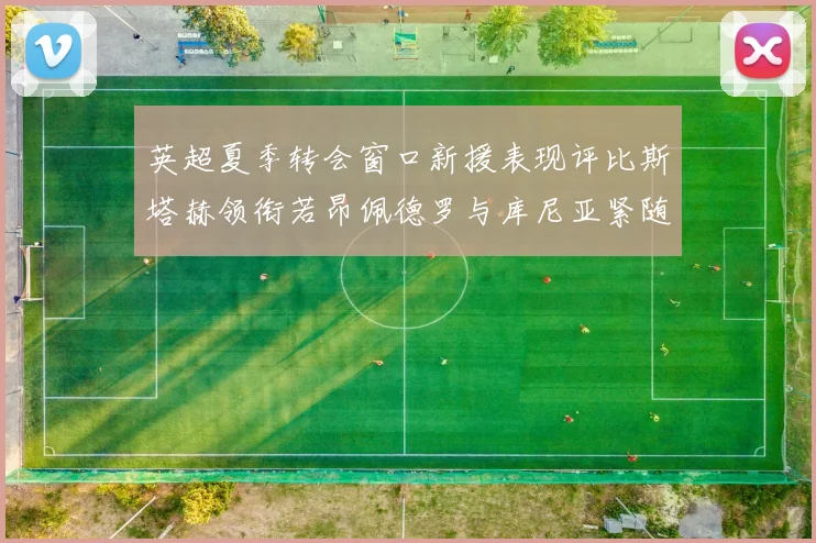 英超夏季转会窗口新援表现评比斯塔赫领衔若昂佩德罗与库尼亚紧随其后